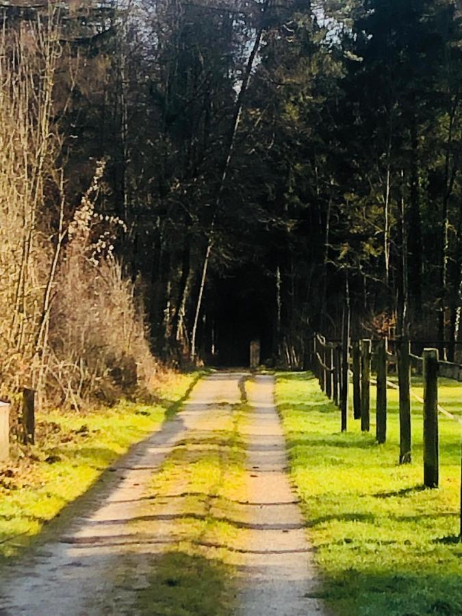 Kunterbunt Gasthof *
