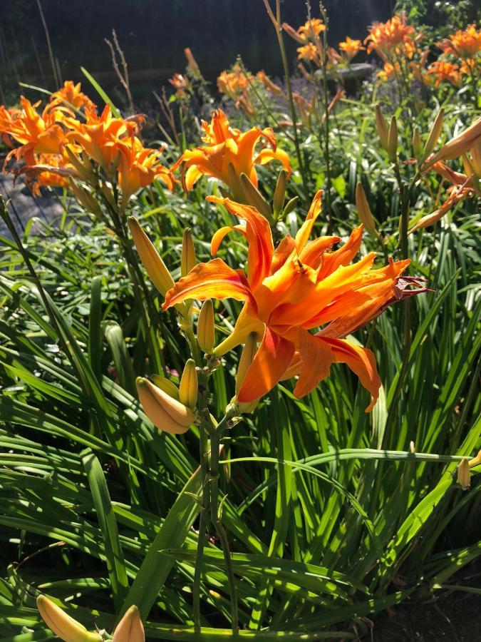 Kunterbunt *